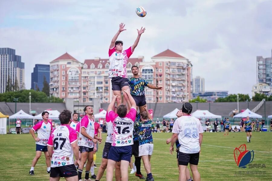 全球瞩目！橄榄球赛事即将收官