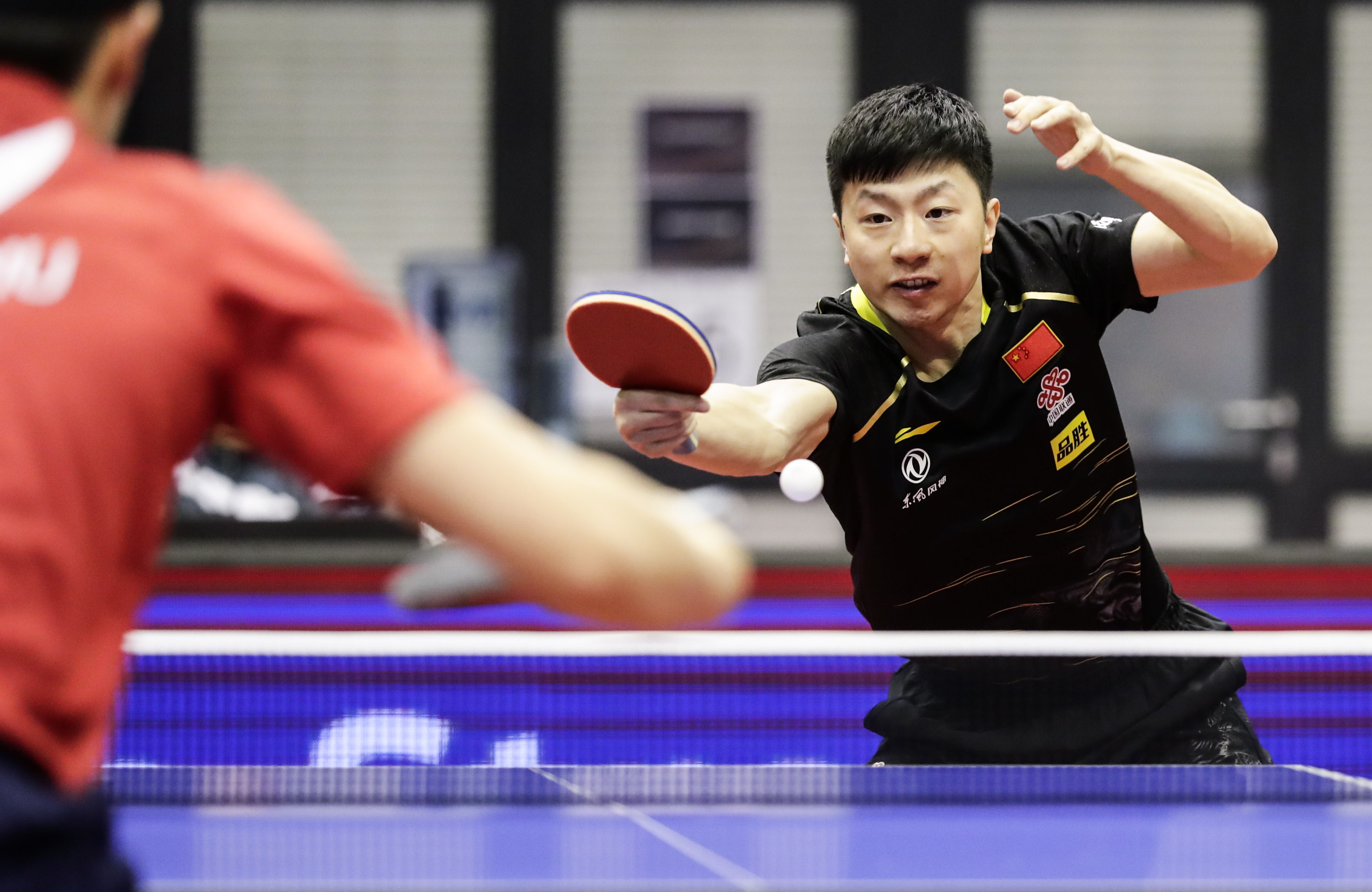 德国队鏖战韩国队,辛杜带队取胜 德国队鏖战韩国队,辛杜带队取胜