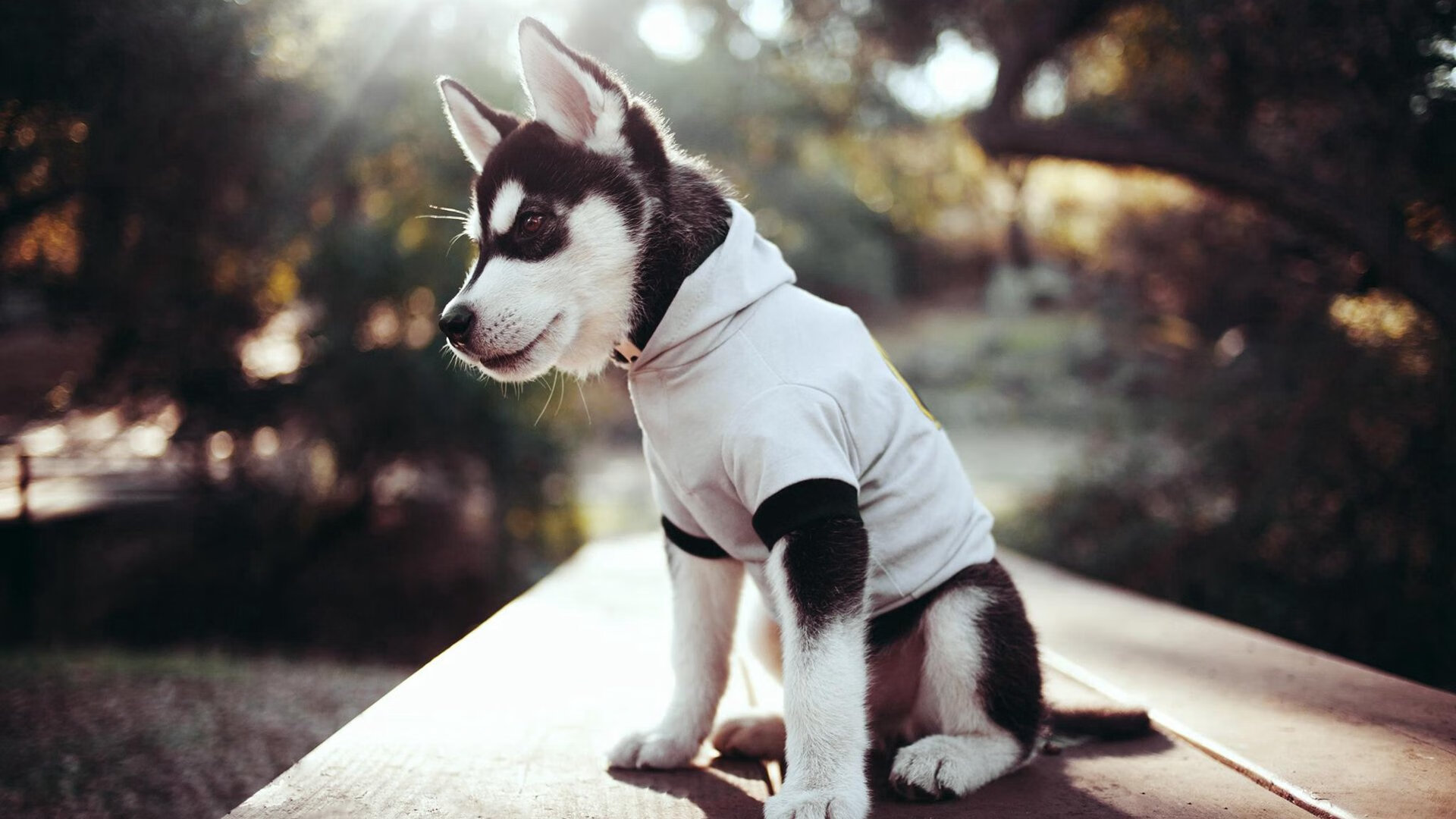 老鹰展翅连续得分狂潮压垮山西，哈登梦幻脚步点燃跨界赛场