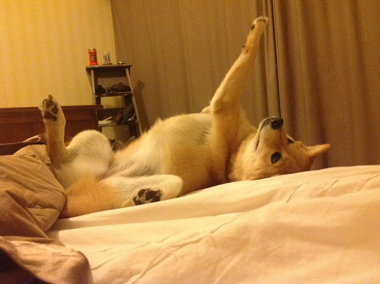 末节觉醒+加时狂飙36+13！莫兰特冰封奇才双枪，活塞加时险胜奇才