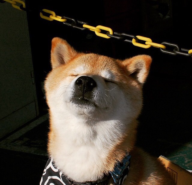 绿茵交响曲，皮克的持久旋律与牙买加的爆裂高音