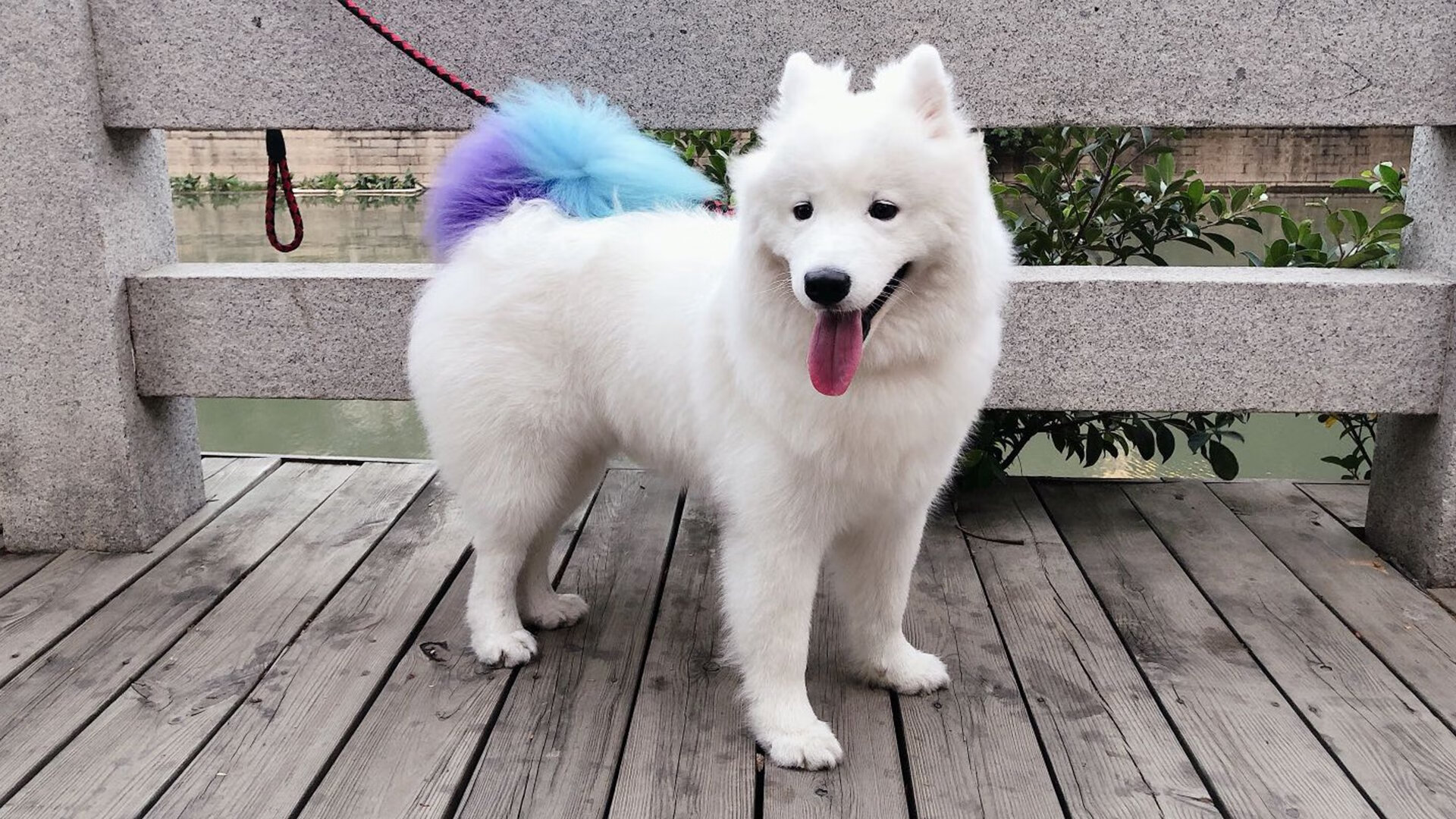 浙江队冰封迈阿密之夜，当东方的夜莺刺穿热带法则