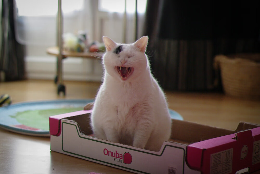 冰与火之歌，山西队以节奏铸剑，拉文用防守封喉