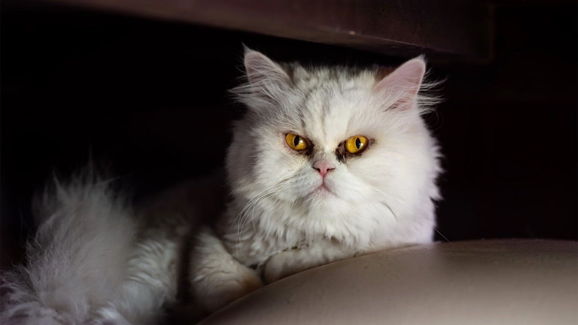 东方技艺与德国铁血的交响曲，久保建英在皇家社会的崛起与德国战车取胜塞维利亚的战术启示