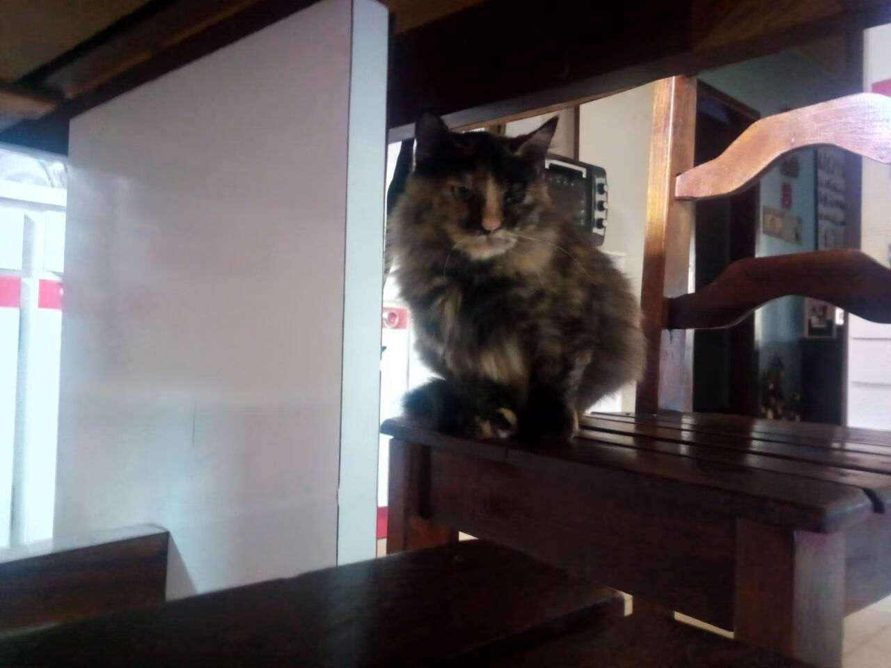 苏格兰vs尼斯，厄德高引领的全队节奏革命