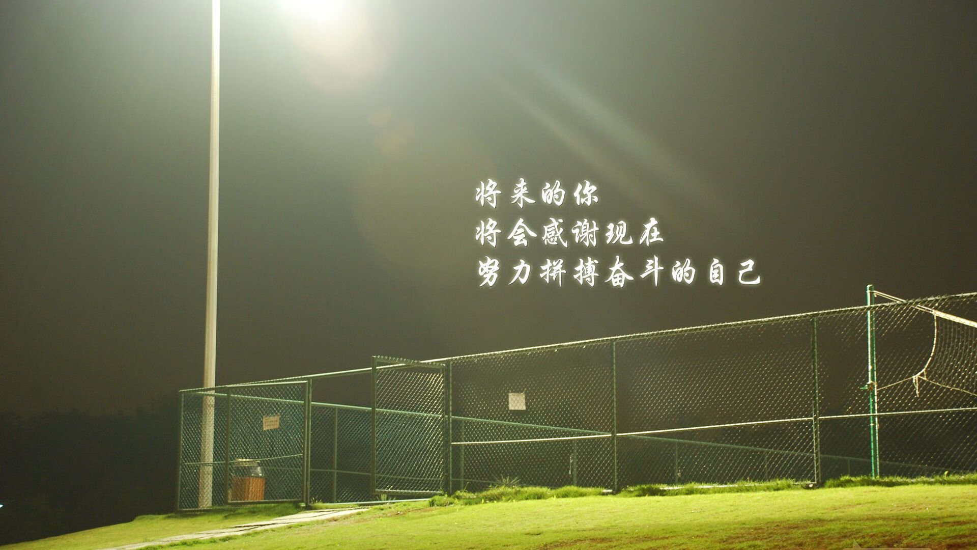 归化神锋佩德里上演绝杀!喀麦隆生死战力克厄瓜多尔,世界杯积分榜上演惊天逆转